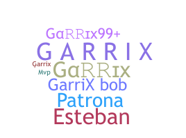 الاسم المستعار - Garrix