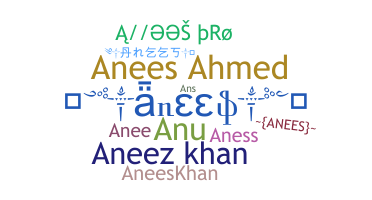 الاسم المستعار - Anees