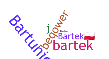 الاسم المستعار - bartek
