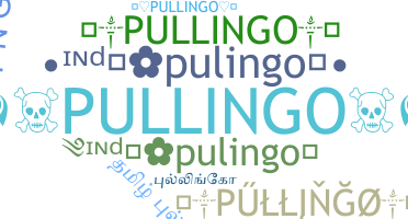 الاسم المستعار - Pullingo