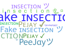 الاسم المستعار - insection