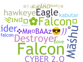الاسم المستعار - Falcons
