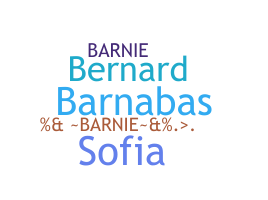 الاسم المستعار - Barnie