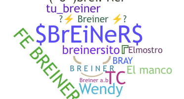 الاسم المستعار - Breiner