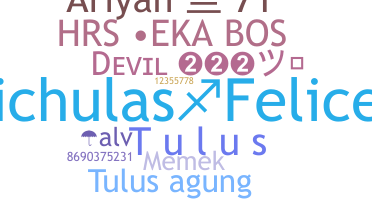 الاسم المستعار - Tulus