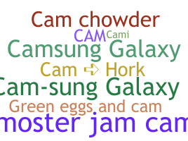 الاسم المستعار - Cam