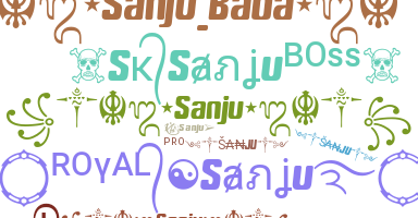 الاسم المستعار - Sanju
